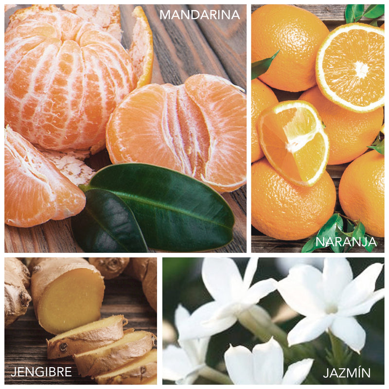 Mandarina, naranja, jengibre, jazmín, ámbar
