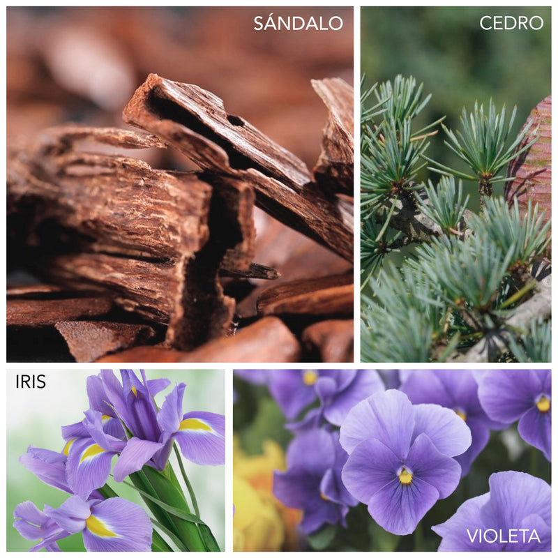Sándalo, cedro, iris, violeta