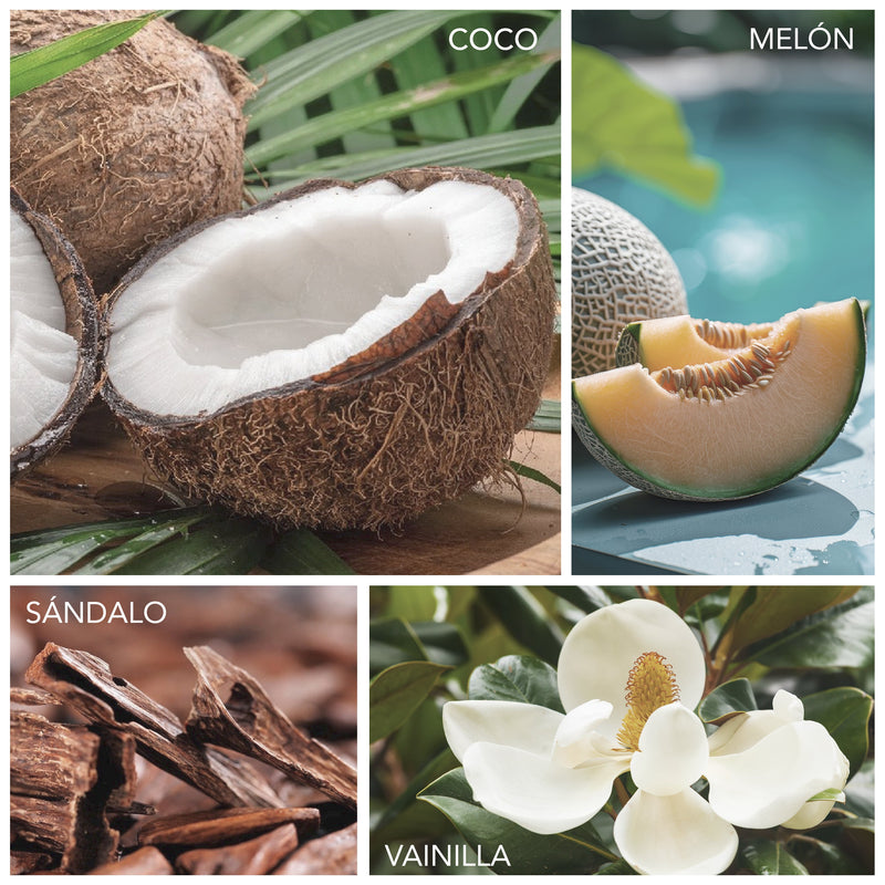 Coco, notas solares, melón, jazmín, sándalo