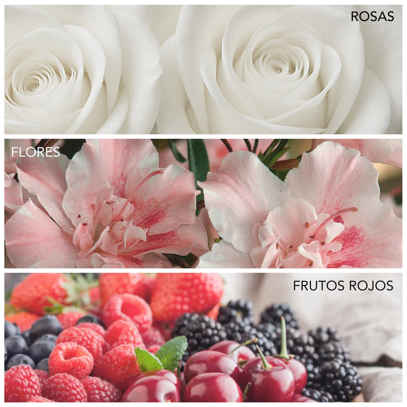 Rosas, acordes florales, frutos rojos