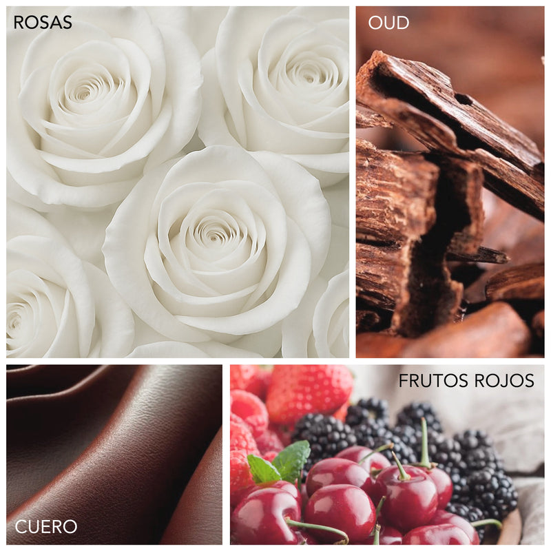 Rosas, oud, frutos rojos, cuero