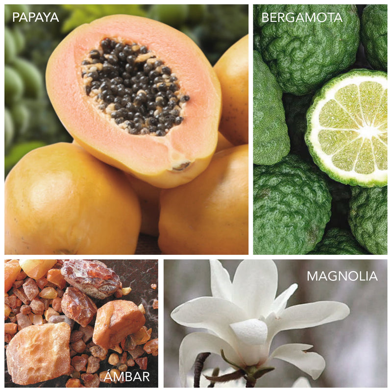 Papaya, bergamota, magnolia, ámbar