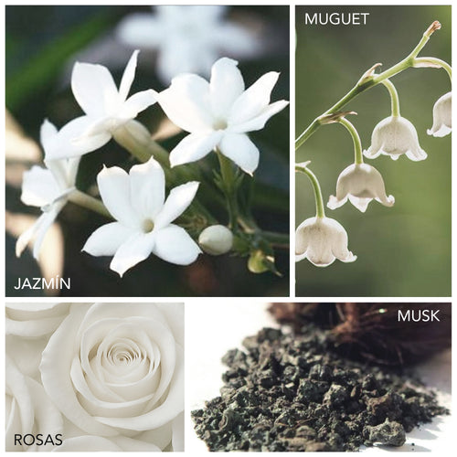 Diffuser Oil Fiji Musk