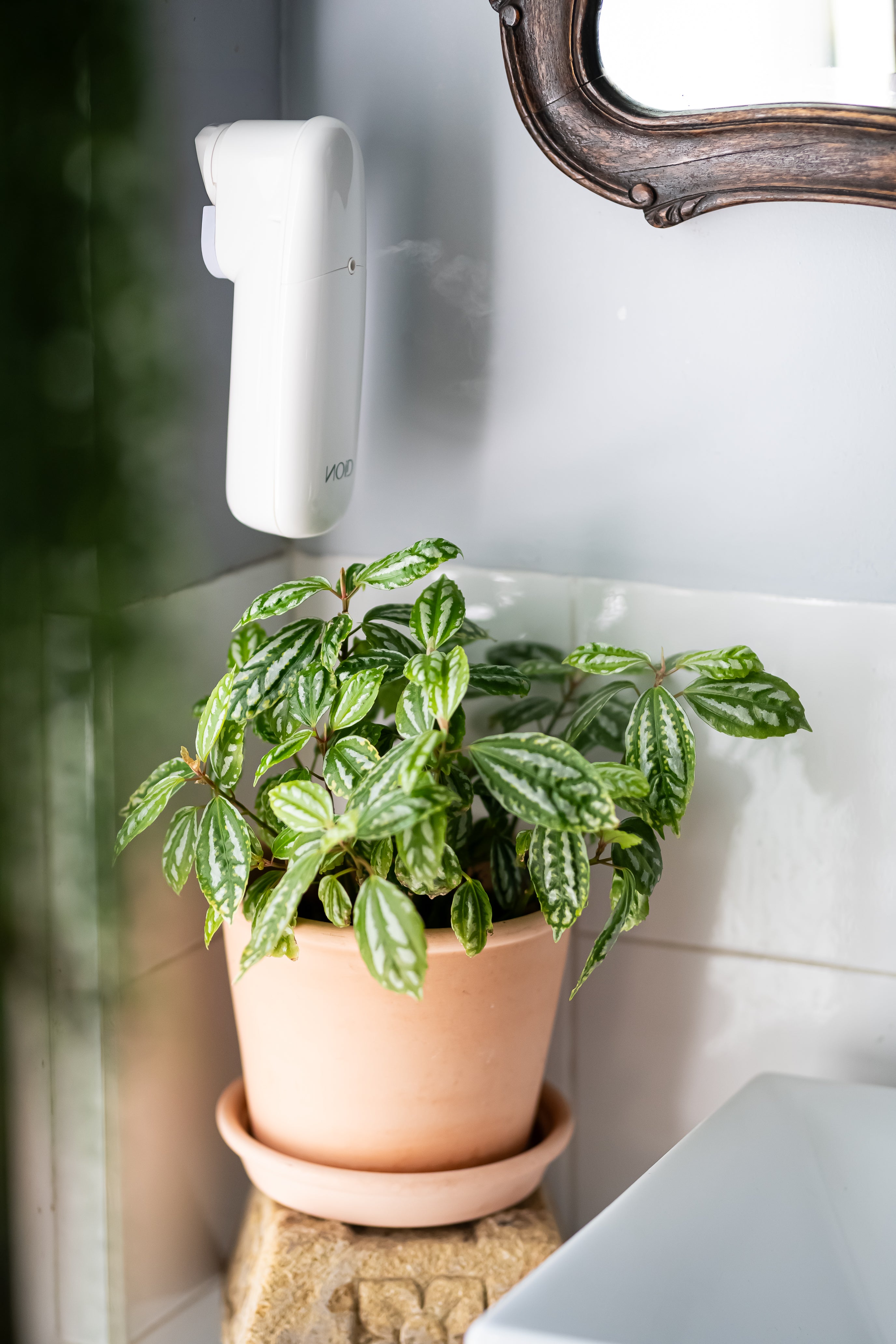 Aroma Diffuser